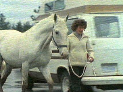 Louise Drouin, Veterinarian